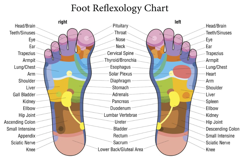 Reflexology Chart For Plantar Fasciitis